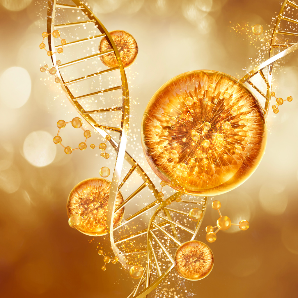 Mezoterapia PDRN Wrocław – Regeneracja i Kolagen | ILLUSTRE